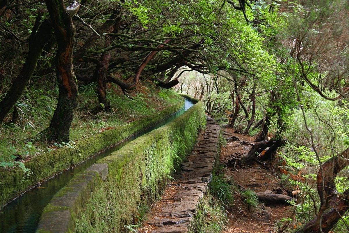 São VicenteMoradia Ponte De Pedra别墅 外观 照片